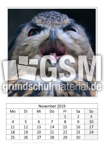 November_Uhu.pdf